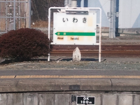 6a83bd49.jpg