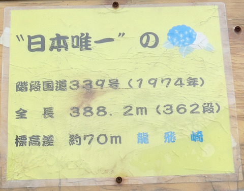 CIMG4802s