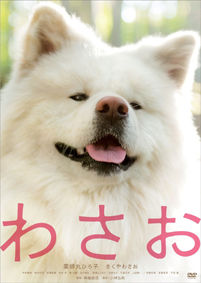 わさおs