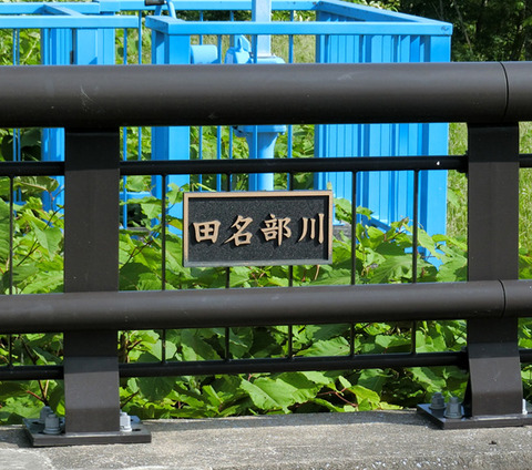 CIMG4967s