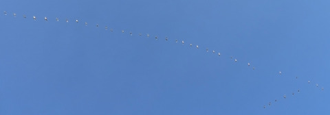 CIMG4201c