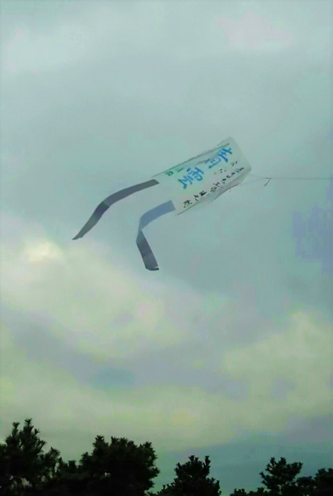 1547172742981