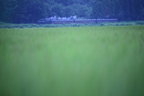_DSC9241_00007
