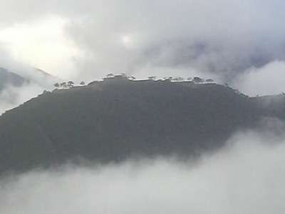 竹田城
