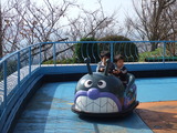 DSCF8527