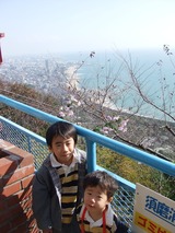 DSCF8517