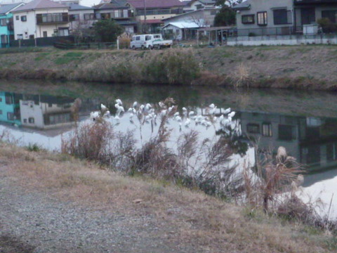 写真 1