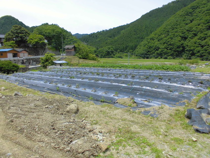 CIMG0396