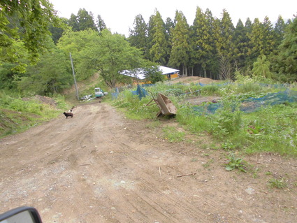 CIMG0496