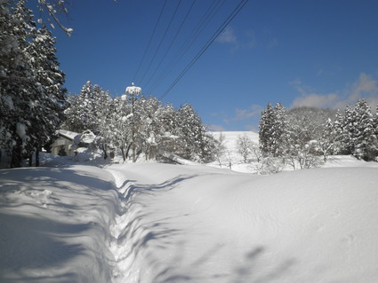 1ab709f5.jpg