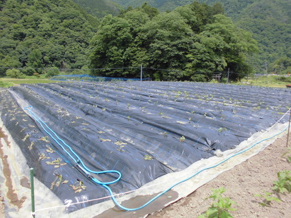 CIMG0397