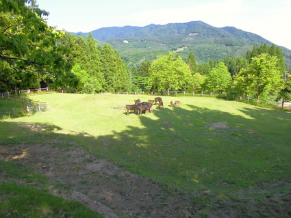 CIMG0440
