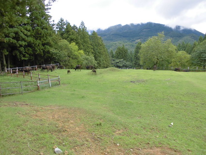 CIMG0753