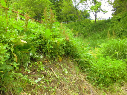 CIMG0461