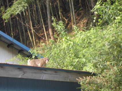 CIMG0589