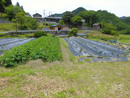 CIMG0399
