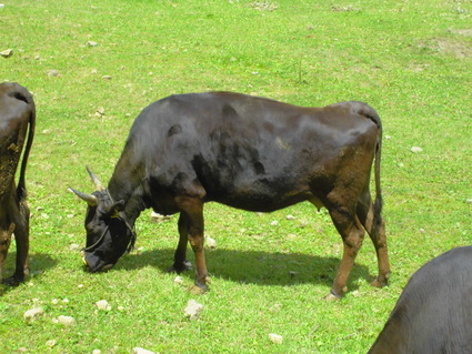CIMG0467