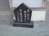 PAP_0063