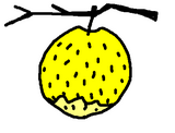 2df4a867.bmp