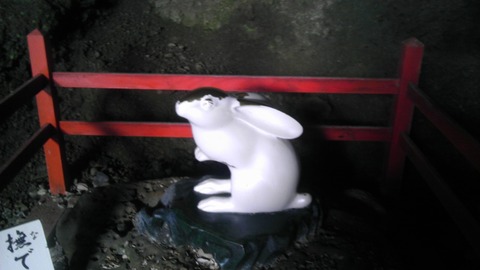 IMAG0532