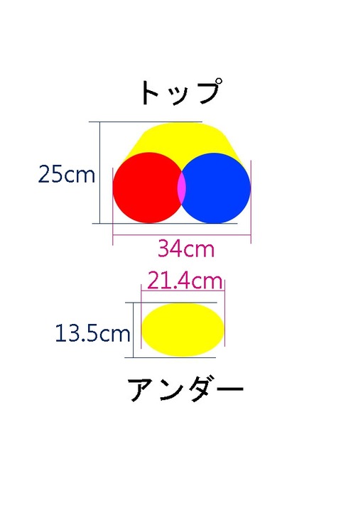 模式図