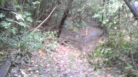 IMAG0538