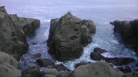 IMAG0534