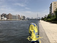 55650658-016F-4FE5-9EAE-DD305C46104E