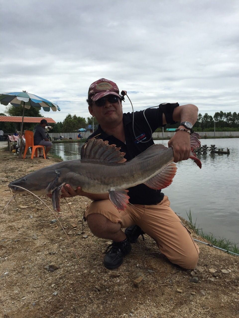 タイの怪魚を釣ったりました アジアン レッドテール キャットフィッシュ へーちゃんblog
