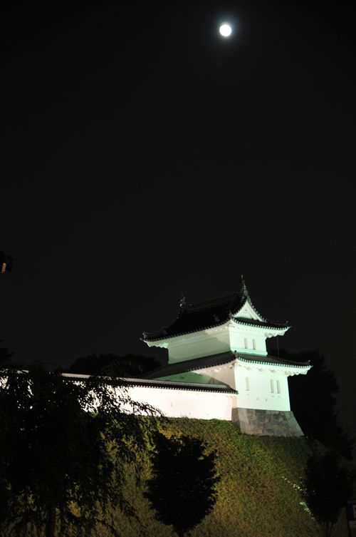 COS_2389