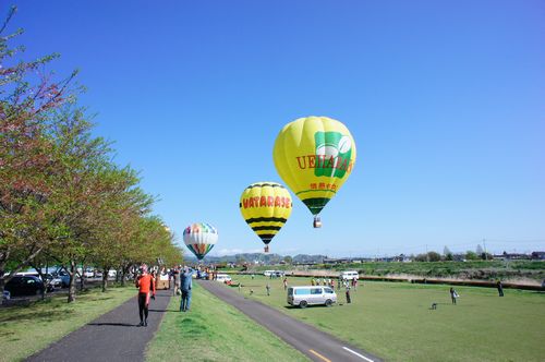 DSC00498