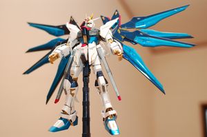 d5c5237f.jpg
