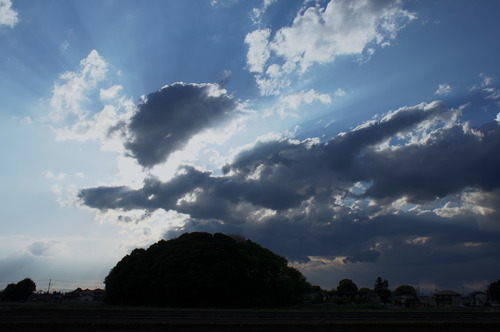 空531