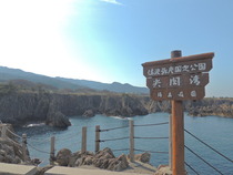 DSCN0312
