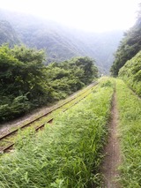 DVC00139
