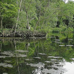 鳥沼公園
