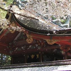 鹽竈神社