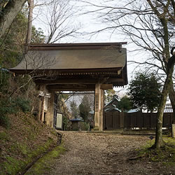 金胎寺