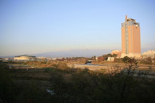 �ۥƥ���뤫��