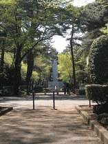 IMGP0015