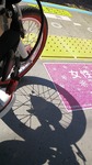 98d9217e.jpg