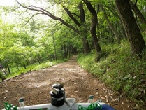 IMGP0077_2