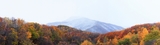 96470bfe.jpg