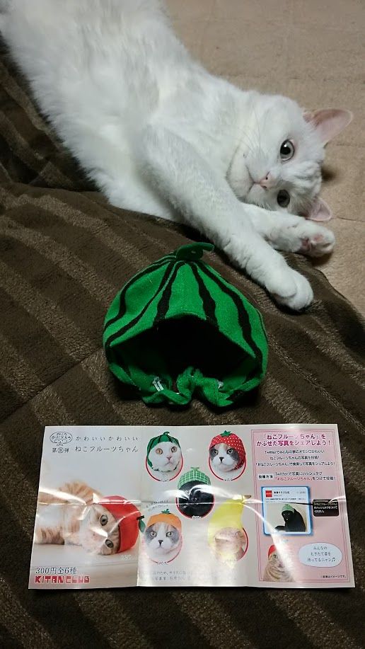 2017070901