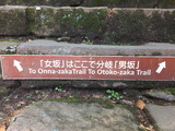 丹沢大山