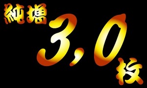 images1381