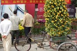 花市5