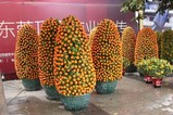 花市4