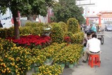 花市3