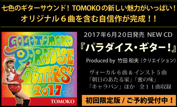 パラダイスギター